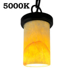 Load image into Gallery viewer, HLS70 Brass Low Voltage 12V LED Hanging Light