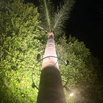 Load image into Gallery viewer, TRA01 Palm Tree Mounting Ring Light Bracket Landscape Lighting Accessory Light Fixture Mount