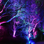 Load image into Gallery viewer, CDR12 12W Smart WIFI RGBW Narrow Beam Directional Landscape Garden Spotlight.