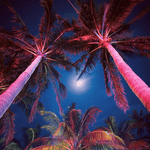 Load image into Gallery viewer, CDR12 12W Smart WIFI RGBW Narrow Beam Directional Landscape Garden Spotlight.