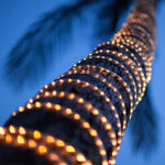 Load image into Gallery viewer, RL100 LED Low Voltage Rope Lights 50 FT Outdoor IP65 3000K, 5000K, Multi Color RGB, Pink, Purple, Red, Yellow, Blue, Green.