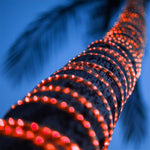 Load image into Gallery viewer, RL100 LED Low Voltage Rope Lights 50 FT Outdoor IP65 3000K, 5000K, Multi Color RGB, Pink, Purple, Red, Yellow, Blue, Green.