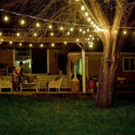 Load image into Gallery viewer, SL101 LED Low Voltage Bistro String Lights 48 FT Outdoor Weatherproof 12V Edison Bulbs.