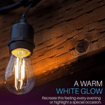 Load image into Gallery viewer, SL101 Replacement Light Bulbs 2W LED E26 12V Low Voltage Edison Style for Bistro String Lights - Kings Outdoor Lighting