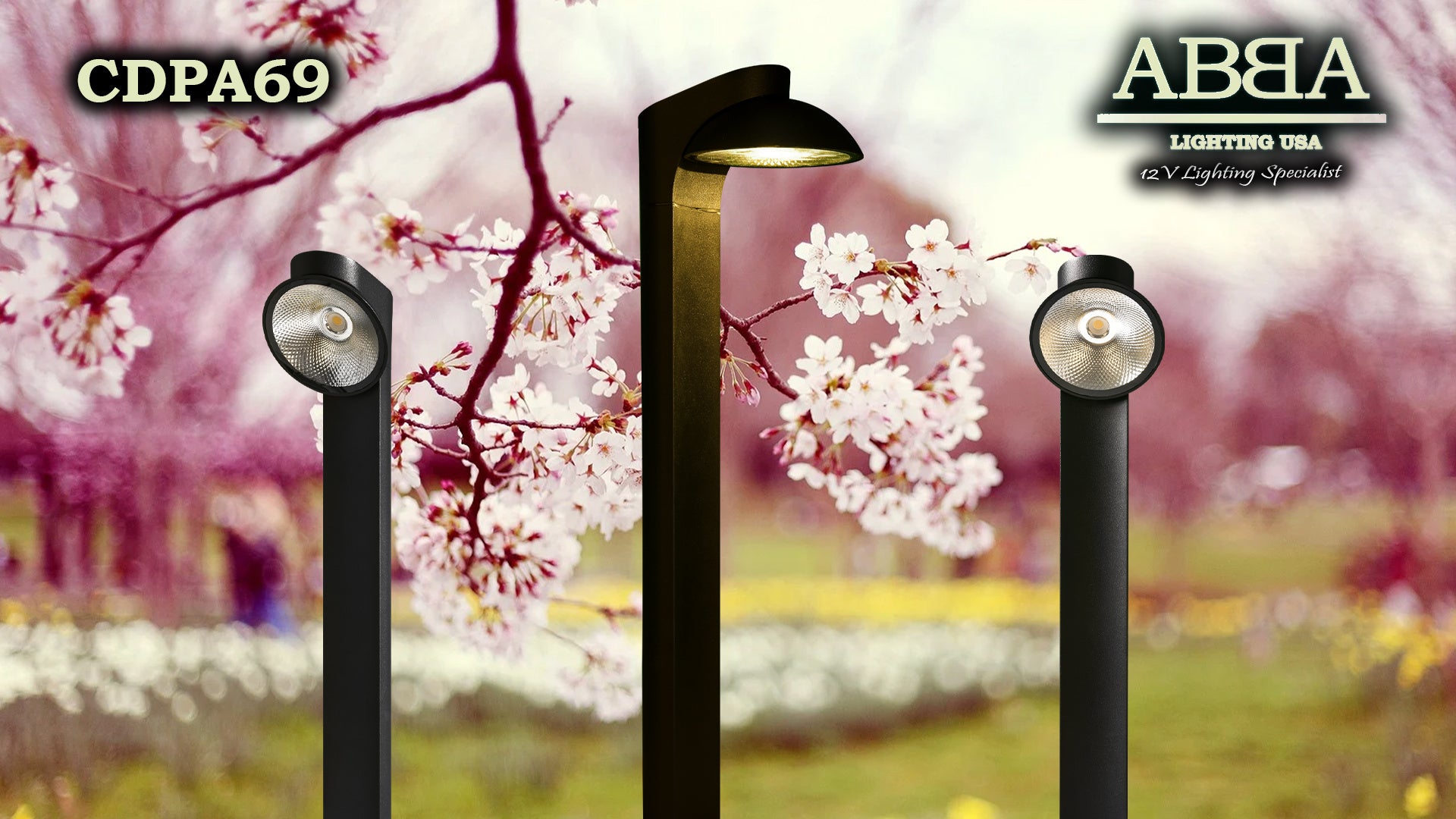 Low Voltage LED Path Light