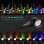 Load image into Gallery viewer, CDRA95 Spotlight RGB 12V Built In LED Outdoor Light 3CCT
