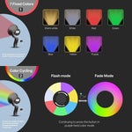 Load image into Gallery viewer, CDRA95 Spotlight RGB 12V Built In LED Outdoor Light 3CCT
