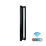 Load image into Gallery viewer, Wall Light 12V RGBW
