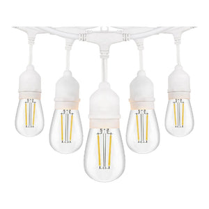 SL101 LED Low Voltage Bistro String Lights 48 FT Outdoor Weatherproof 12V Edison Bulbs