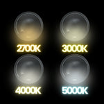 Load image into Gallery viewer, Stainless Steel LED In Ground Light
