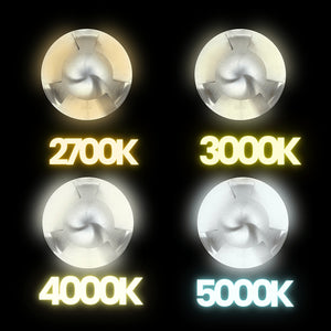 Stainless Steel LED In Ground Light