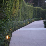 Load image into Gallery viewer, CDPS70 3W LED Marble Path Light Low Voltage Outdoor Landscape Lighting.
