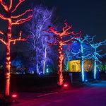 Load image into Gallery viewer, CDR30 30W Smart WIFI RGBW Narrow Beam Directional Landscape Garden Spotlight.
