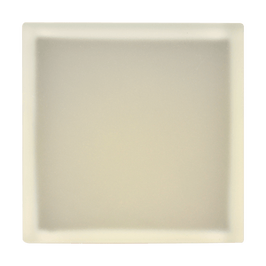CRG30 Low Voltage In Ground RGB or WW LED Brick Paver Light Square IP67 Waterproof - Kings Outdoor Lighting