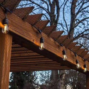 SL101 LED Low Voltage Bistro String Lights 48 FT Outdoor Weatherproof 12V Edison Bulbs.