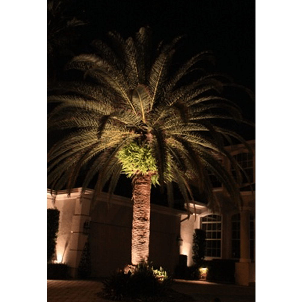 CD20 20W Low Voltage Ground LED Spotlight Waterproof Outdoor Fixture.