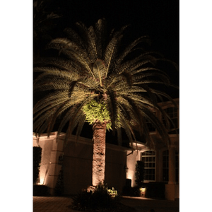 CD20 20W Low Voltage Ground LED Spotlight Waterproof Outdoor Fixture.